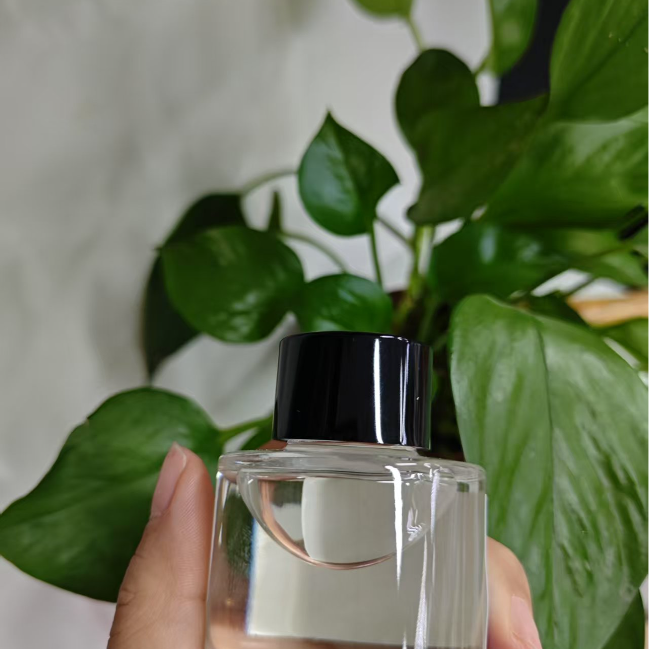 【言言分享小寻】清冽干净优雅温暖檀香香薰