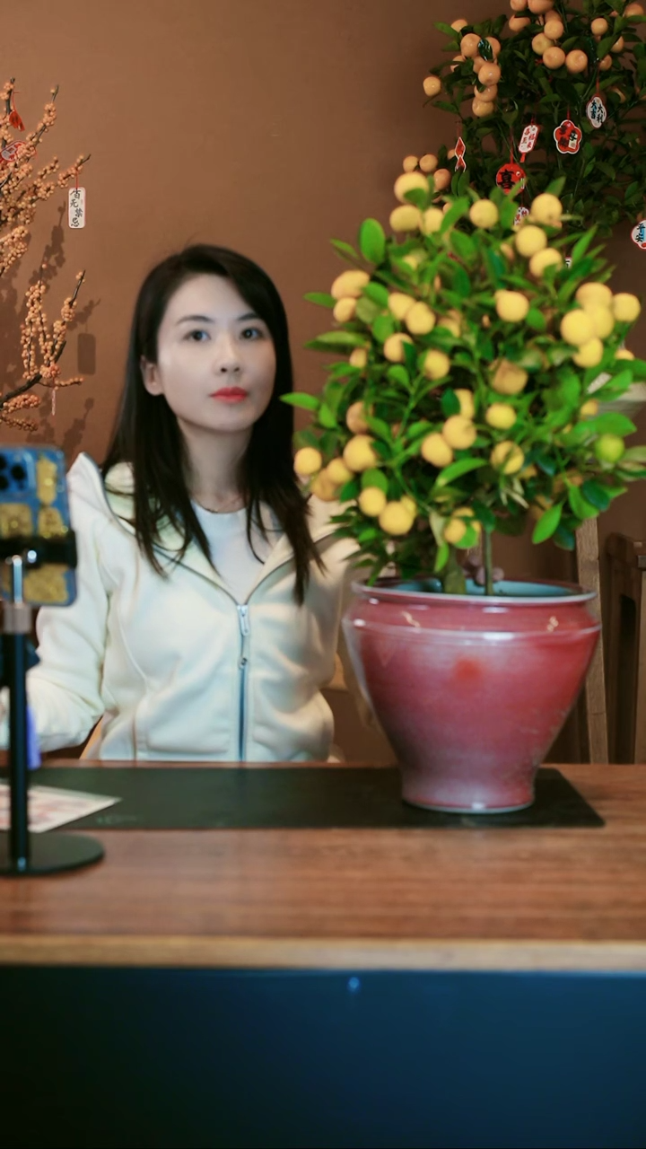 【闪购商品】盆景小金橘 中
