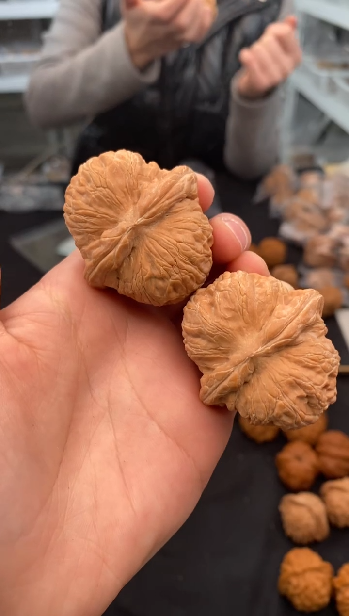 【闪购商品】文玩核桃把件元宝44-t645