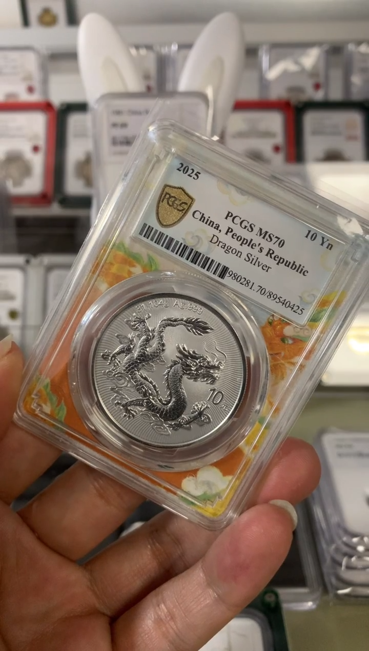 其他普通金属银龙