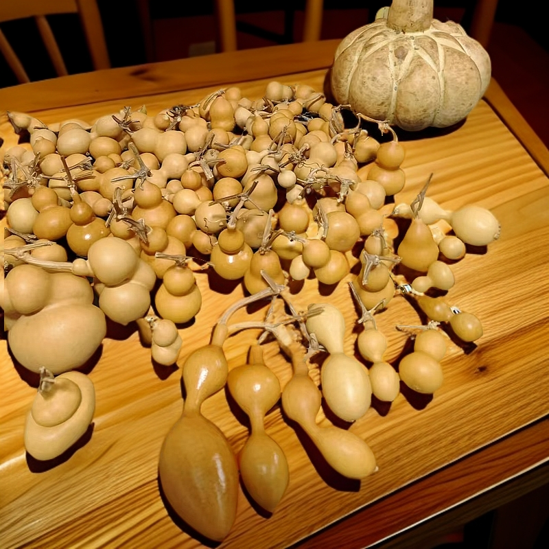 直播专用50以上链接文玩葫芦手捻葫芦大小葫芦一物一价