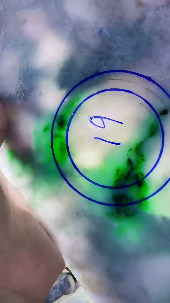 裸石翡翠纯天然翡翠A货124