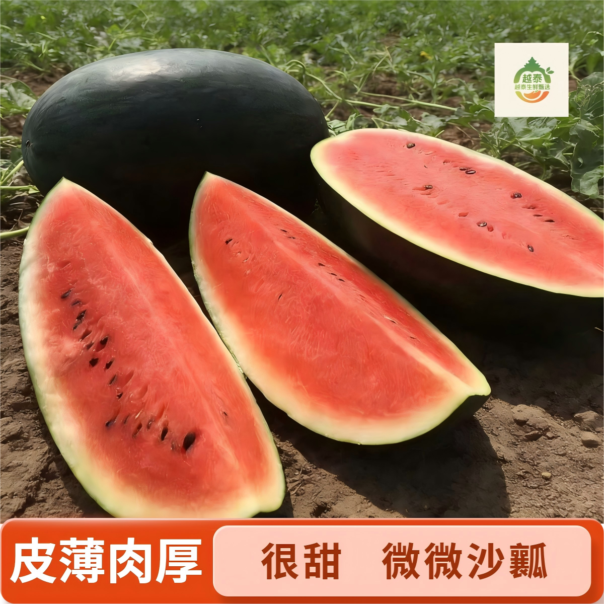 【果果尝鲜】越南黑美人西瓜脆甜多汁新鲜当季水果包邮坏果包赔