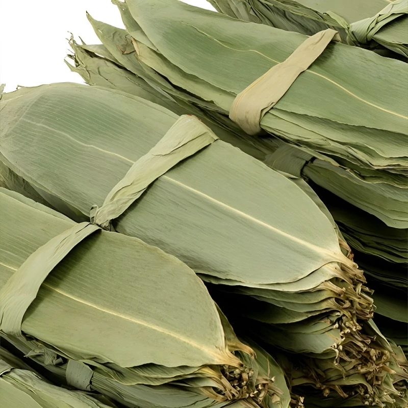 【端午提前囤】干粽子叶晒干棕叶大号新鲜包粽子的叶子端午节家用