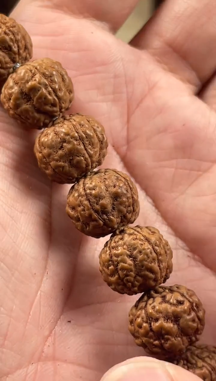 【闪购商品】金刚菩提手串402龙鳞纹原桩老树盘龙11-16mm