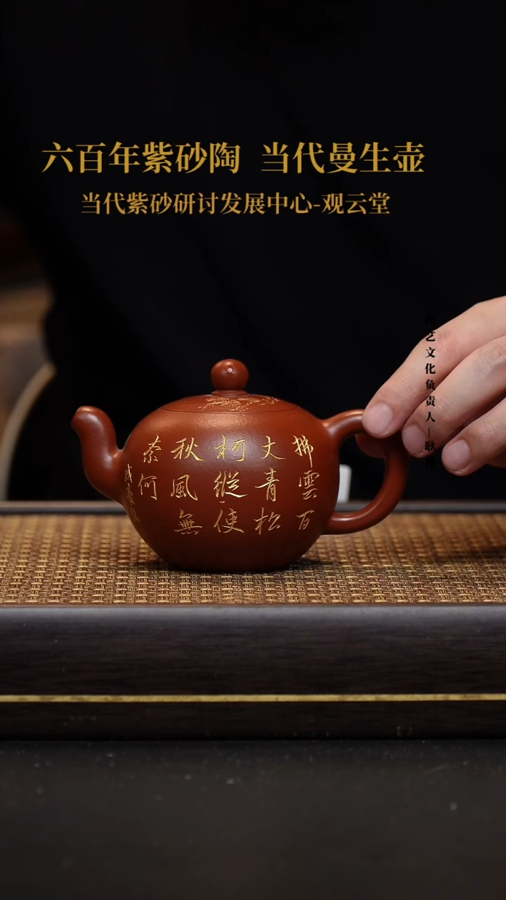 茶壶紫砂宜兴紫砂壶一粒珠