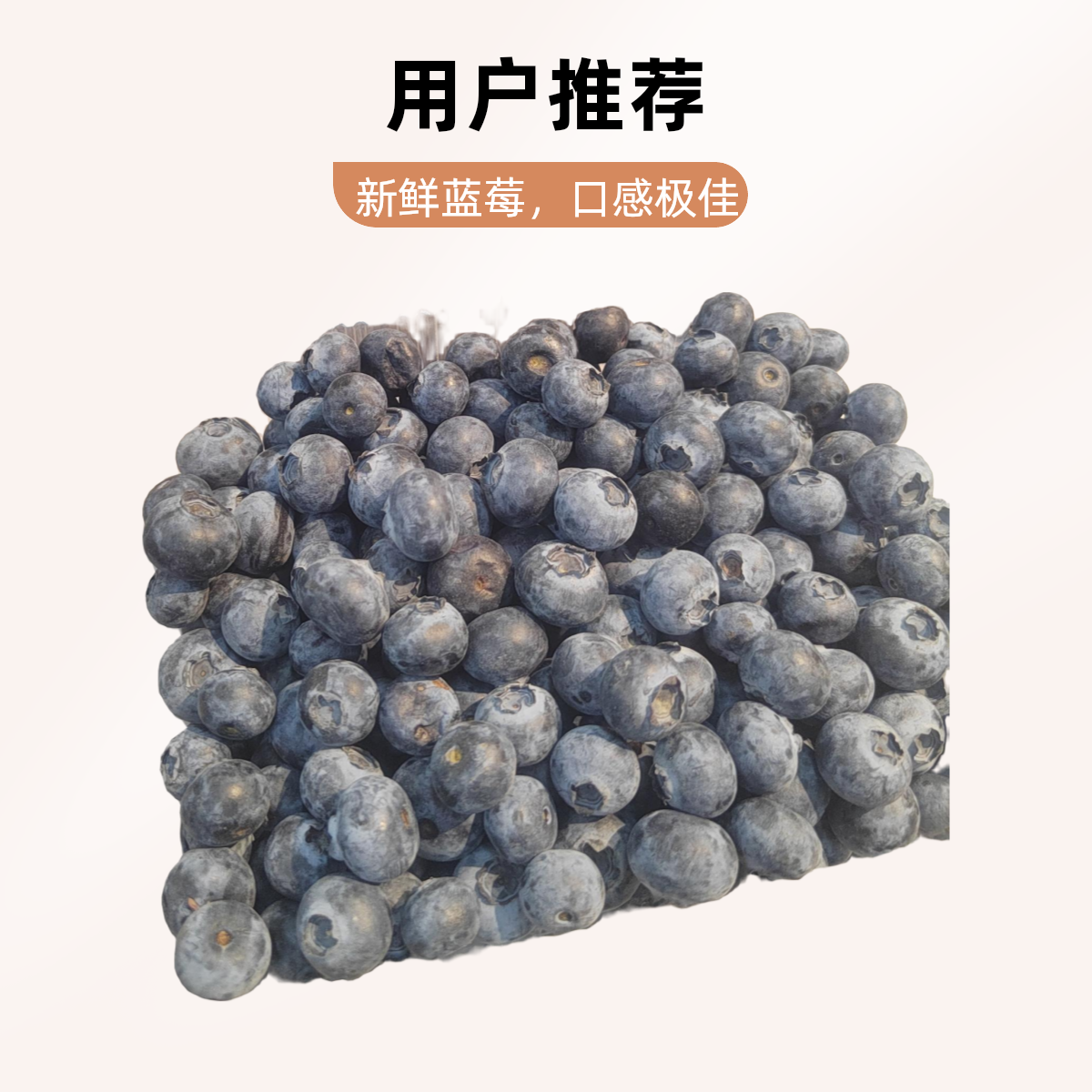 蓝莓【超新鲜】