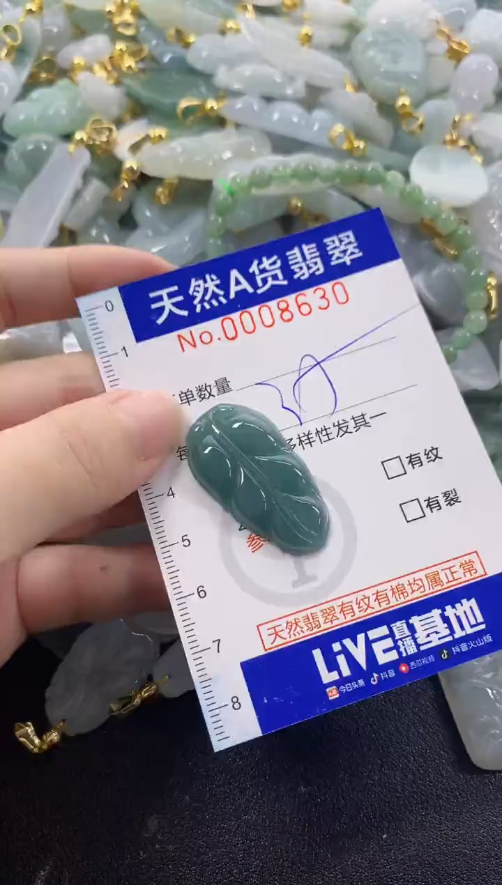 颈饰未镶嵌翡翠天然A货翡翠