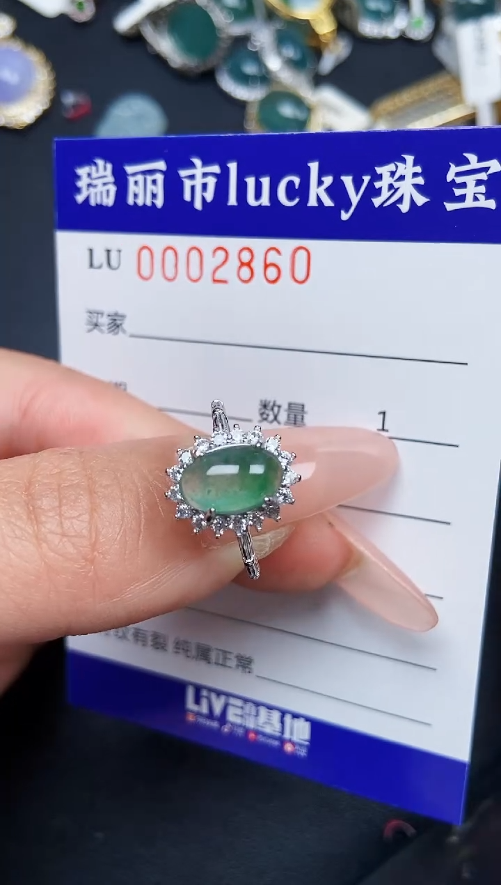 【闪购商品】翡翠颈饰银S925镶嵌2860