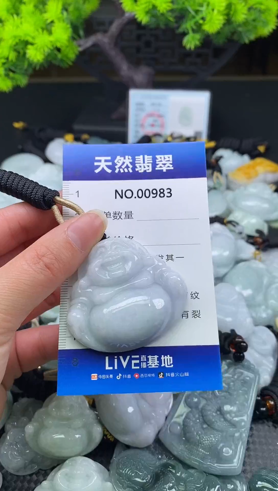 颈饰未镶嵌翡翠天然缅甸翡翠983