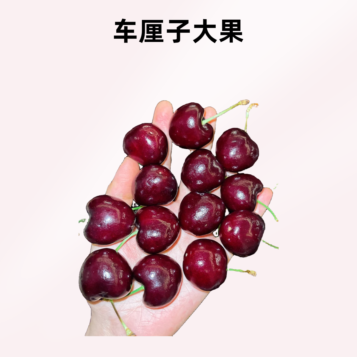 智利空运车厘子2J3J4JD  2斤装智利