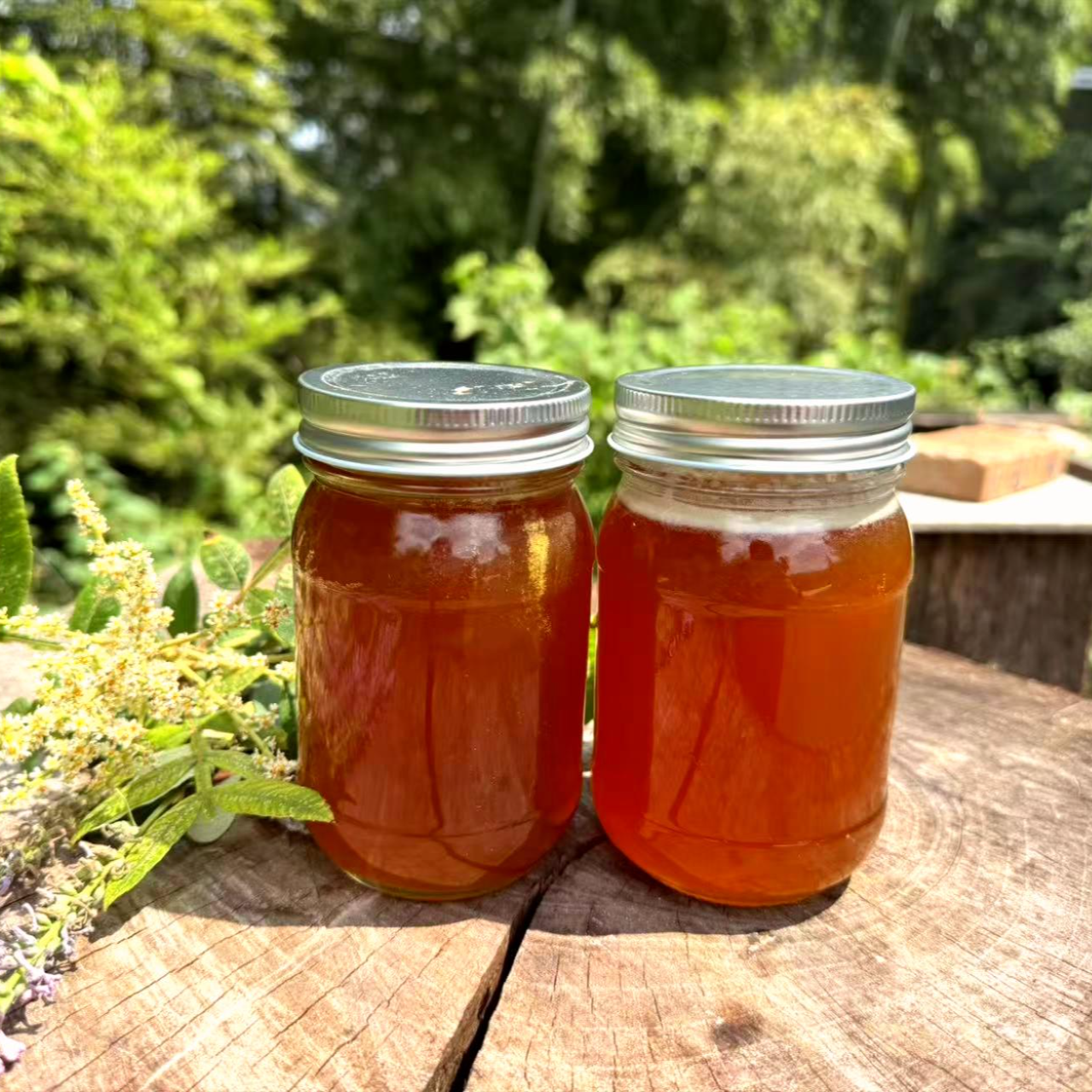 【百花蜜】深山土蜂蜜