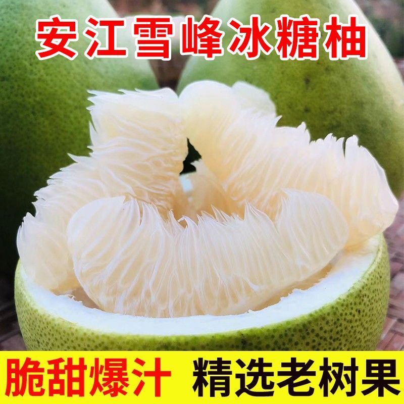 正宗湖南怀化安江雪峰小土柚冰糖柚雪峰柚麻麻柚金兰柚白新鲜柚子