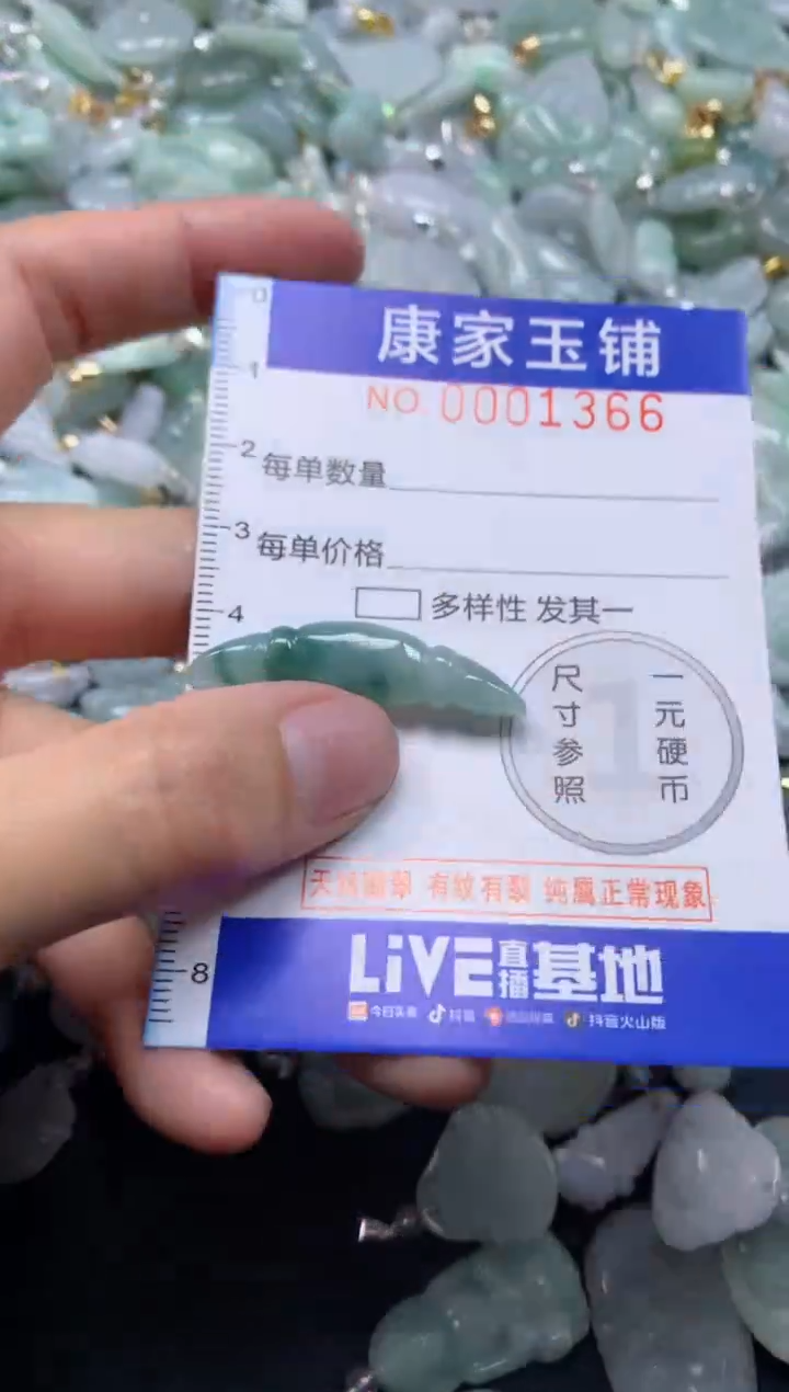 颈饰未镶嵌翡翠1366