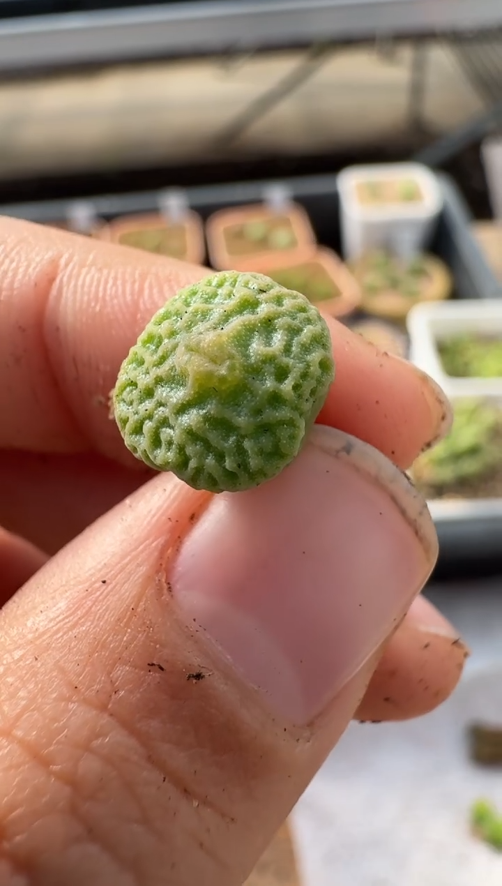 【闪购商品】2.5-128