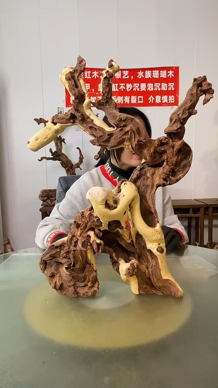 木疏*客金丝红木  羊蹄甲