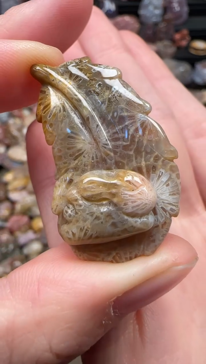 颈饰未镶嵌硅化珊瑚（珊瑚玉）183