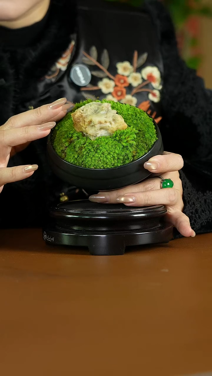 小号 永生苔藓+黑釉