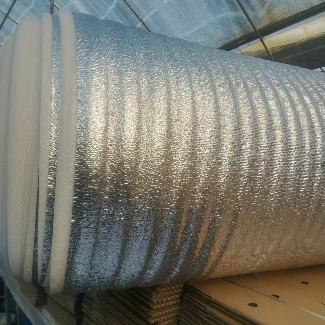 5度以下地区保温棉服务丨1-4盆拍1单，5盆及以上拍2单