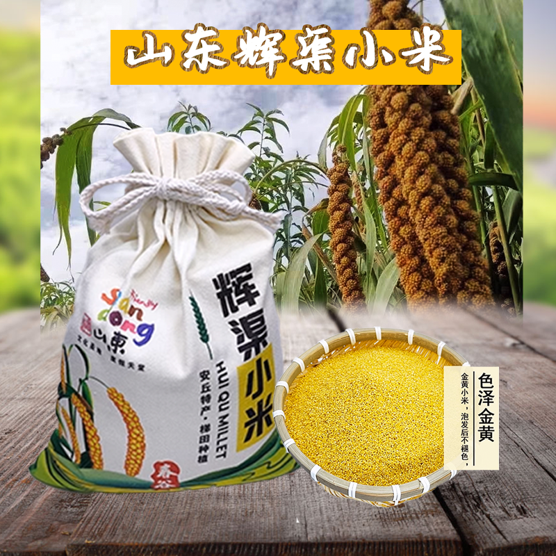 正宗山东辉渠小米 安丘特产 山区农家小米