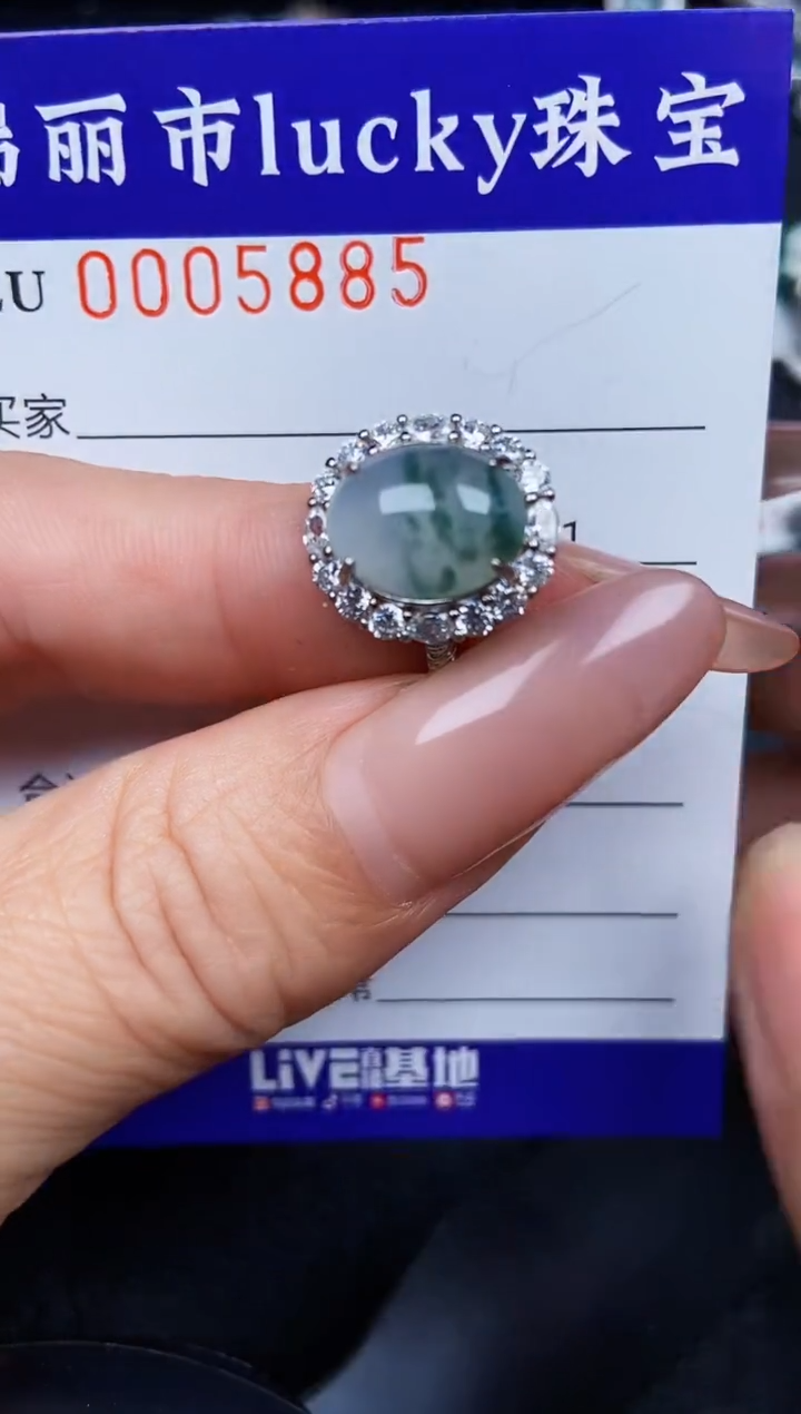 翡翠银S925镶嵌颈饰5885