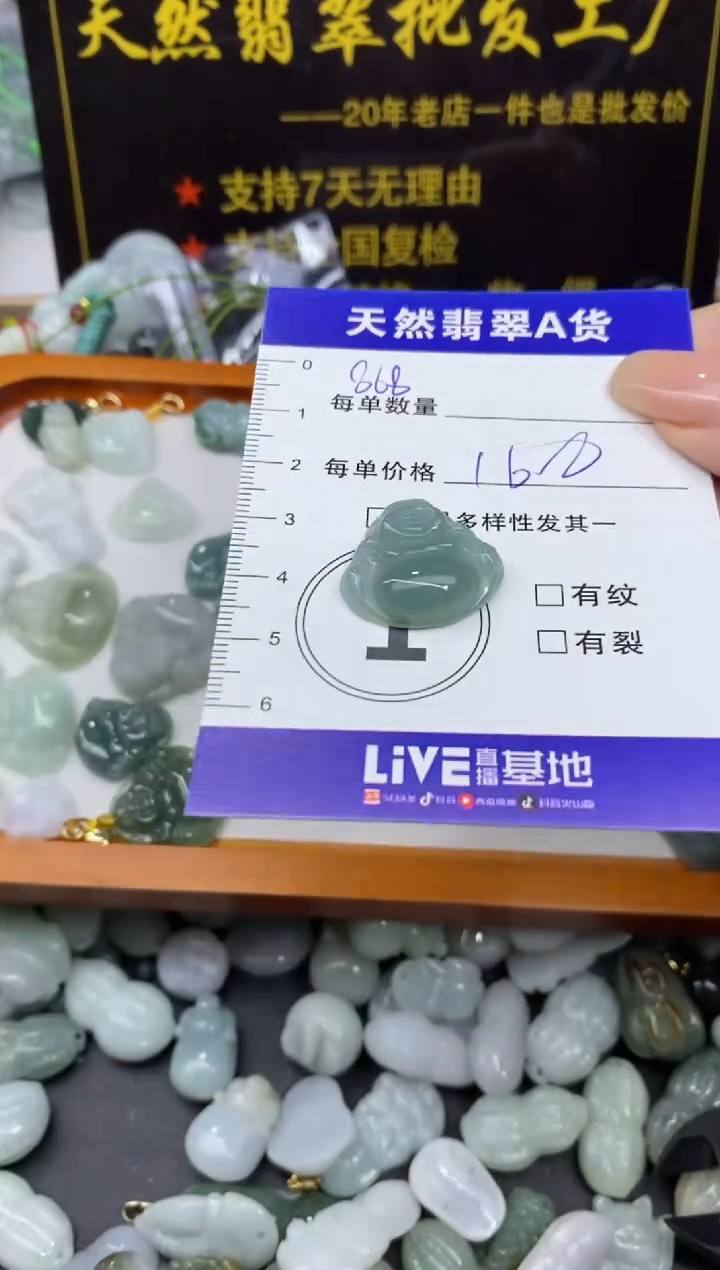 颈饰未镶嵌翡翠天然翡翠A货批量多样性发一件