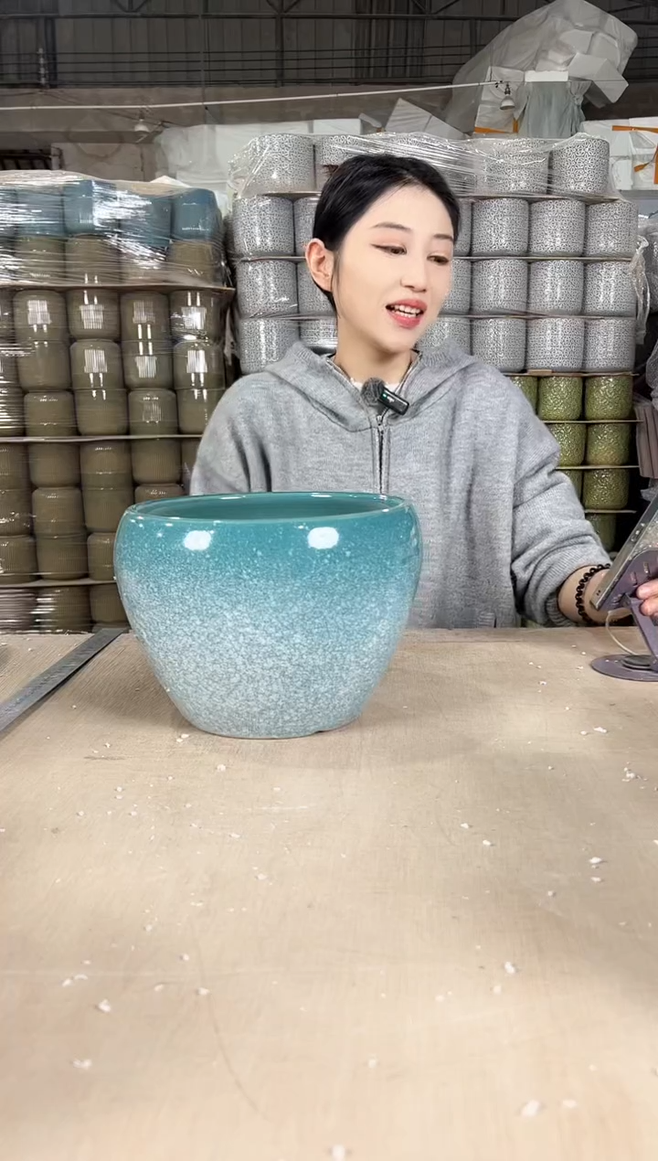 【闪购商品】陶瓷苹果雪花大号20x15