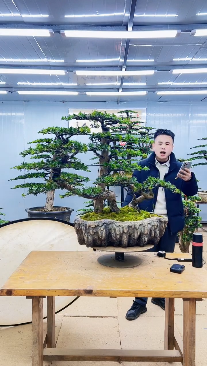 以实际为准0000000000000000000