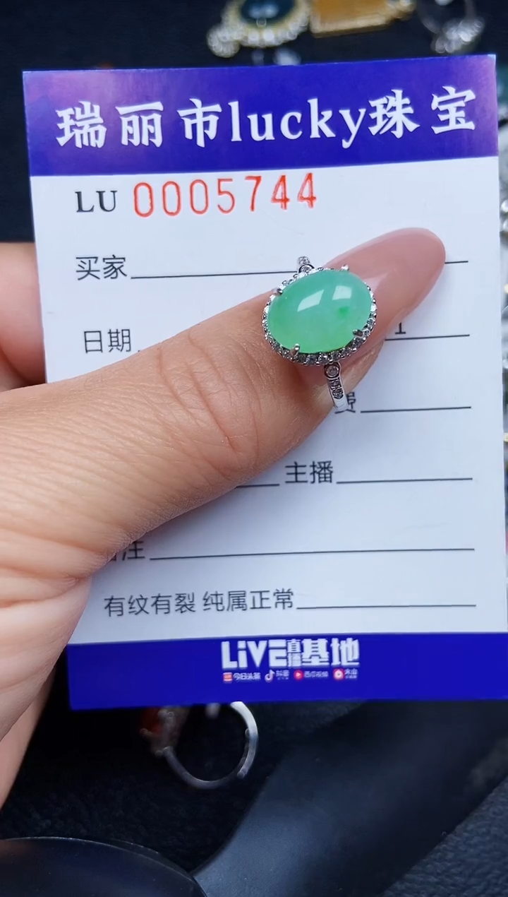 翡翠银S925镶嵌颈饰5744