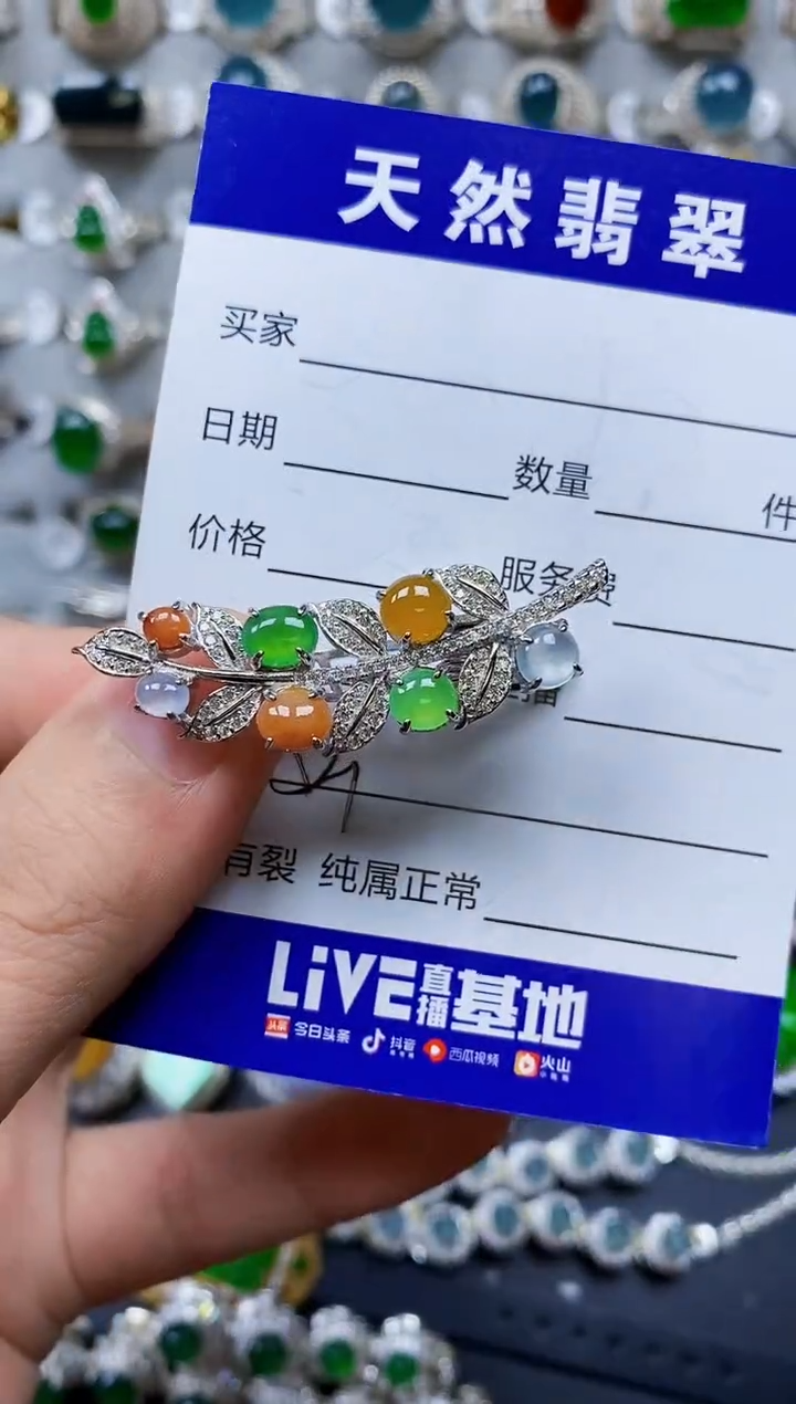 【闪购商品】翡翠银S925镶嵌颈饰0521