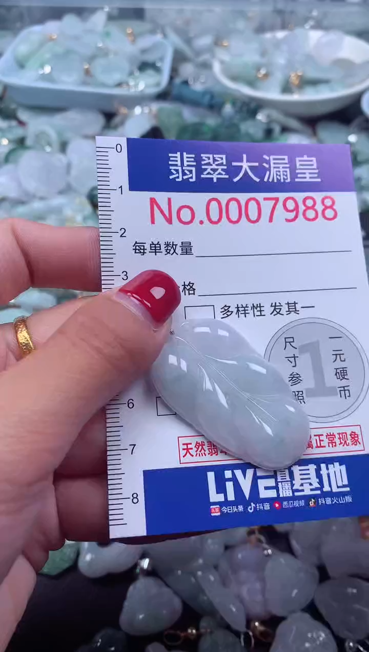 颈饰未镶嵌翡翠7988