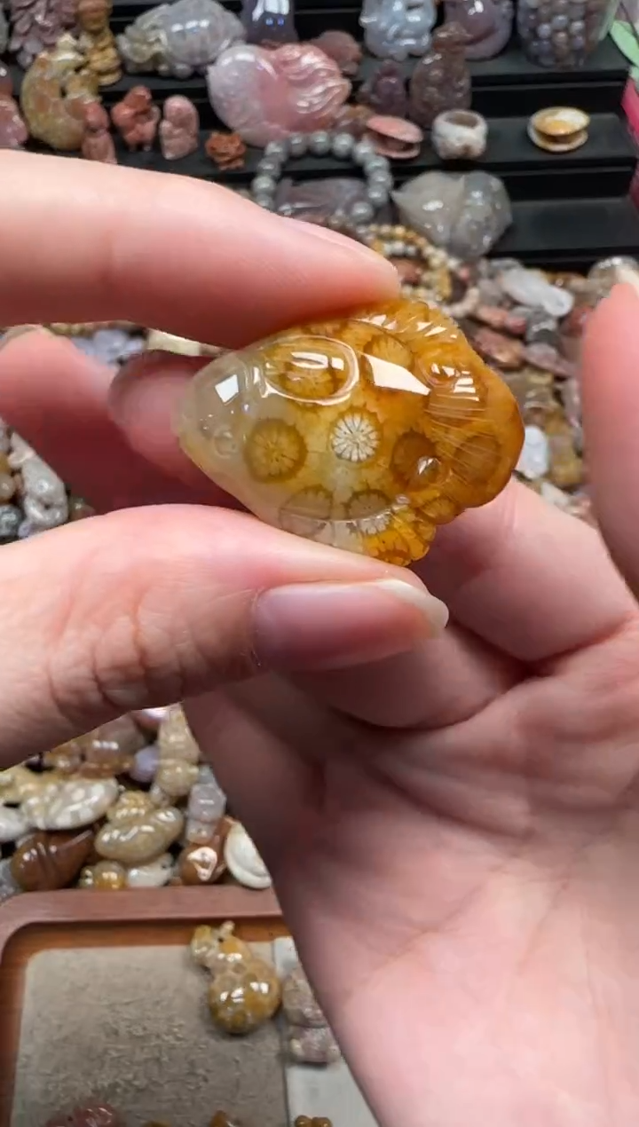 颈饰未镶嵌硅化珊瑚（珊瑚玉）607