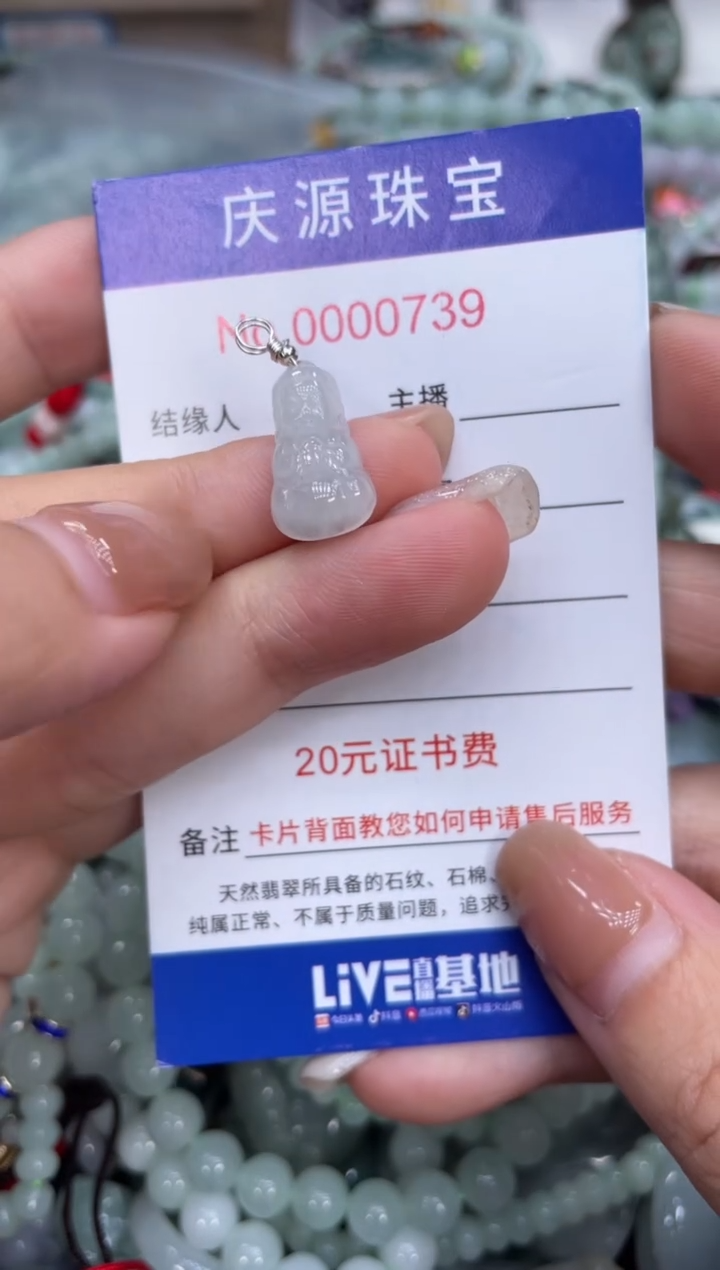 翡翠未镶嵌颈饰292