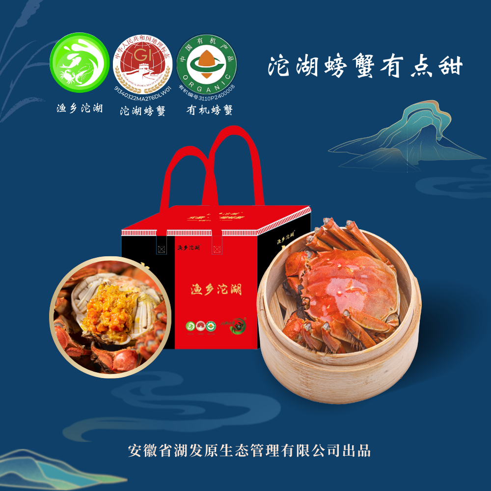 沱湖螃蟹母蟹2.3-2.6两12只渔乡沱湖有机大闸蟹顺丰现货