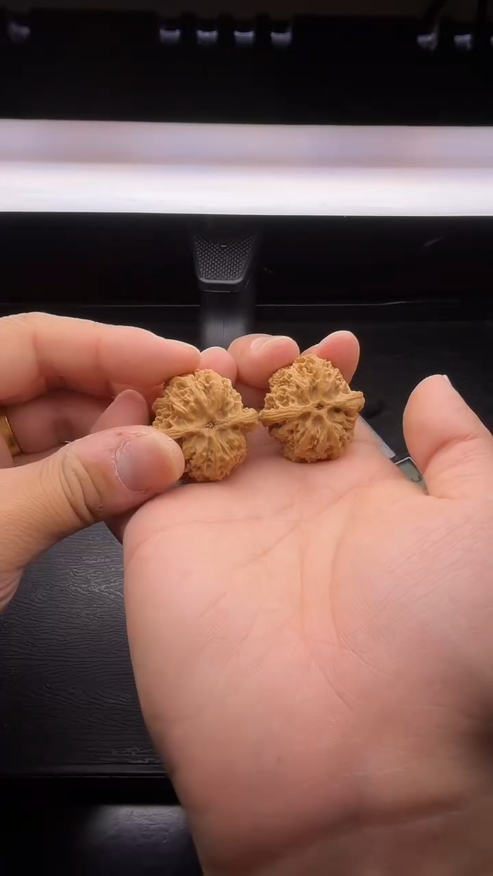 把件文玩核桃王*木32.1同尺全品苹果园