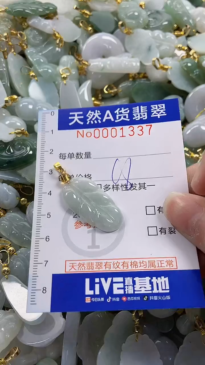 颈饰未镶嵌翡翠纯天然货翡翠