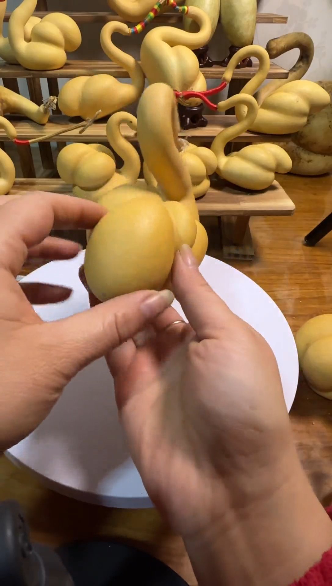 漠*天鹅葫芦精品小店