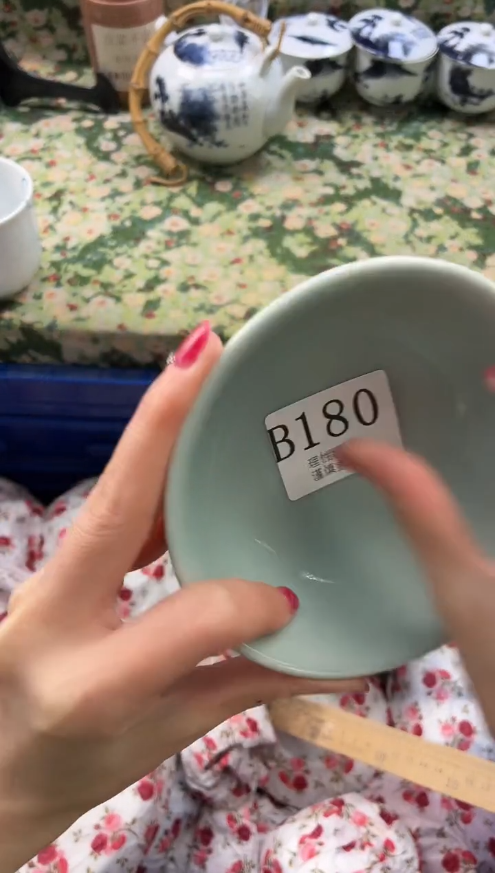 瓷片可****袋       B180