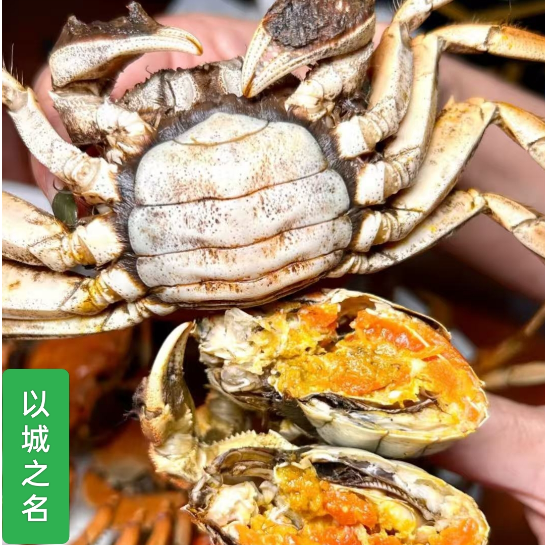 【活蟹】正宗盘锦稻田蟹 全母蟹1.1-1.3两/只2斤-3斤 顺丰包邮
