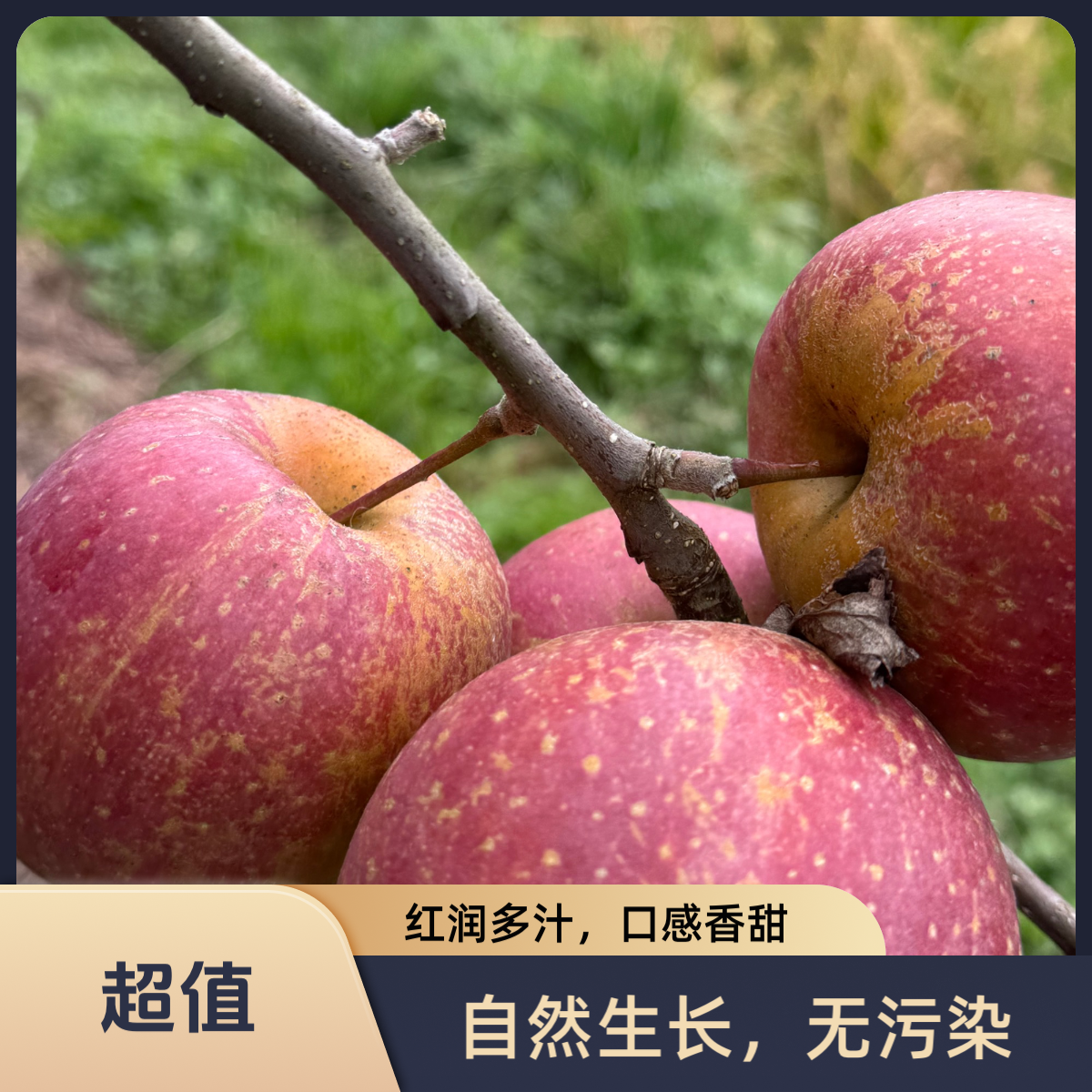 云南正宗冰糖心丑苹果新鲜现摘脆甜多汁水果