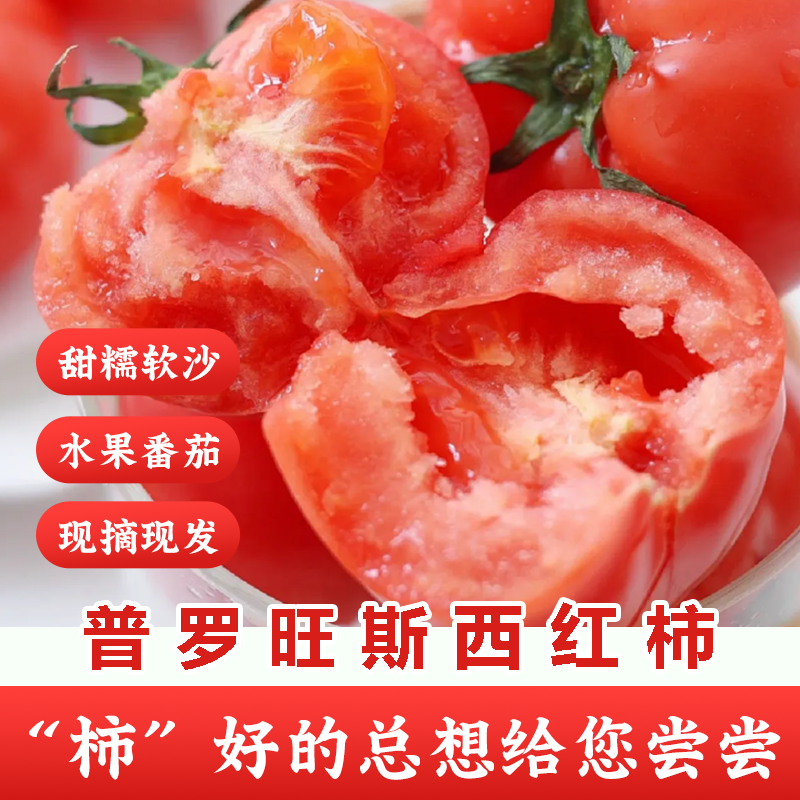 正宗普罗旺斯西红柿皮薄沙瓤爆汁包邮净重4斤自然成熟