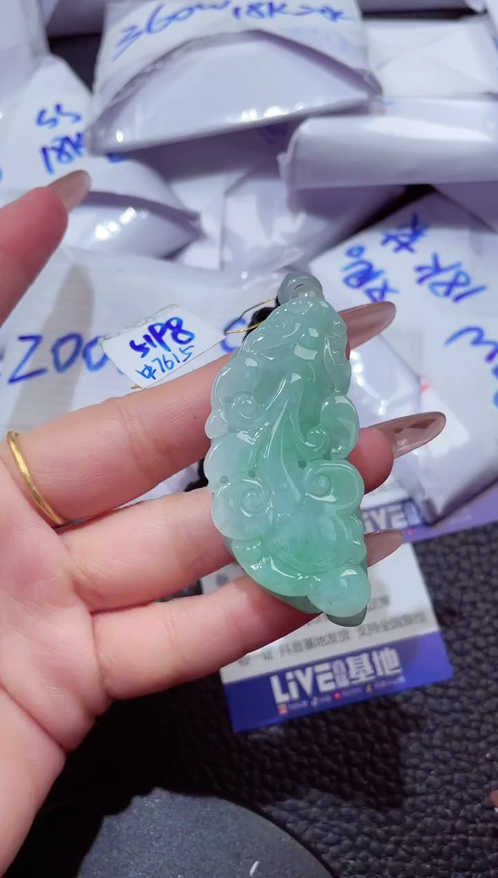 颈饰未镶嵌翡翠20260103