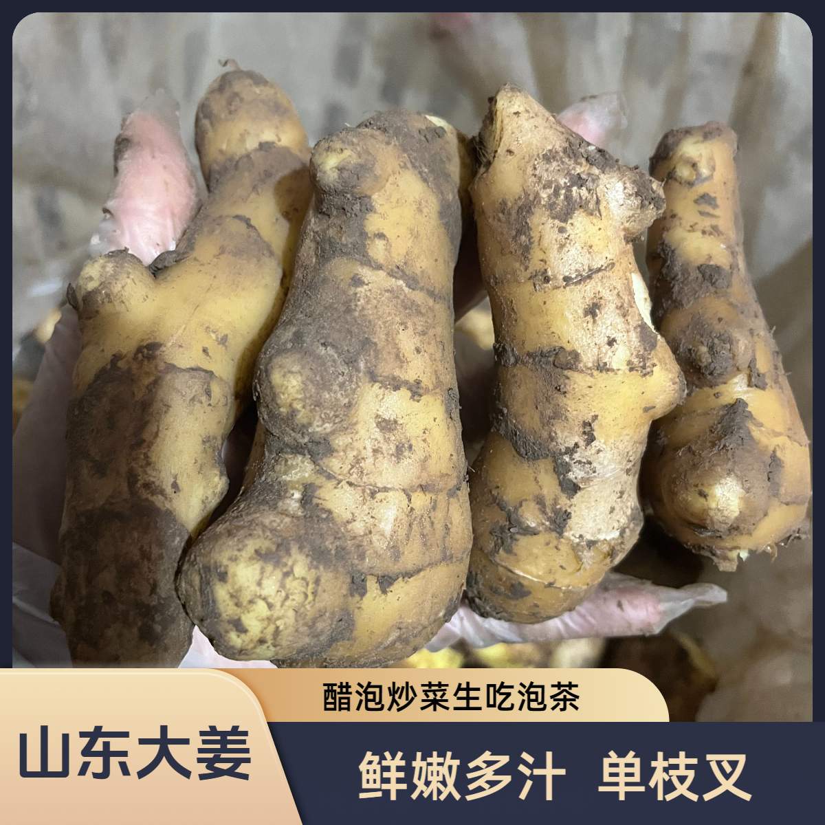 2025大肉姜姜枝单叉鲜嫩多汁月子姜醋泡炒菜生吃泡茶洗头不硫不药
