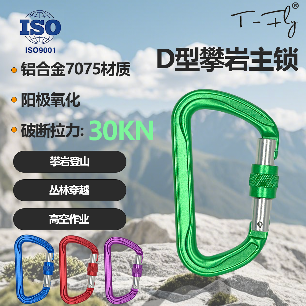 T-FLY户外登山攀岩适用的D型锁丝扣主锁高空作业装备