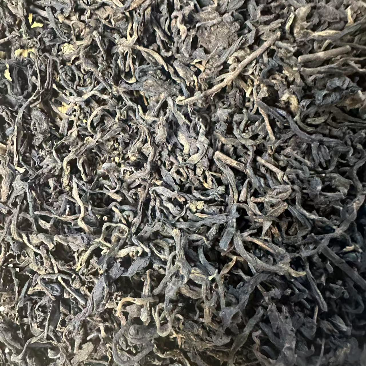 2025年     懂过单株头春普洱茶100g（生茶 ） 5月8号