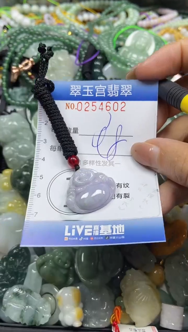 颈饰未镶嵌翡翠闪购C0254602