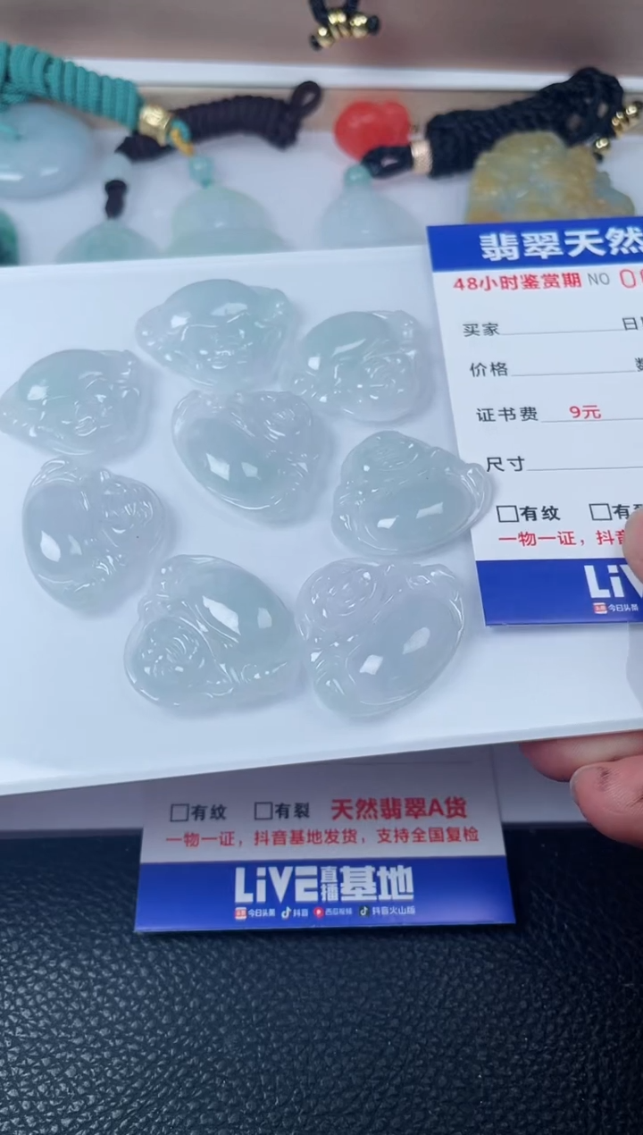 【闪购商品】翡翠颈饰未镶嵌多样性发货发一件fo
