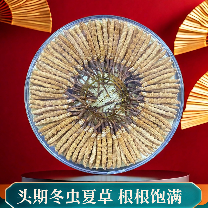【央金专属】精选均3根/克 100根2025年干冬虫夏草送礼滋补礼盒