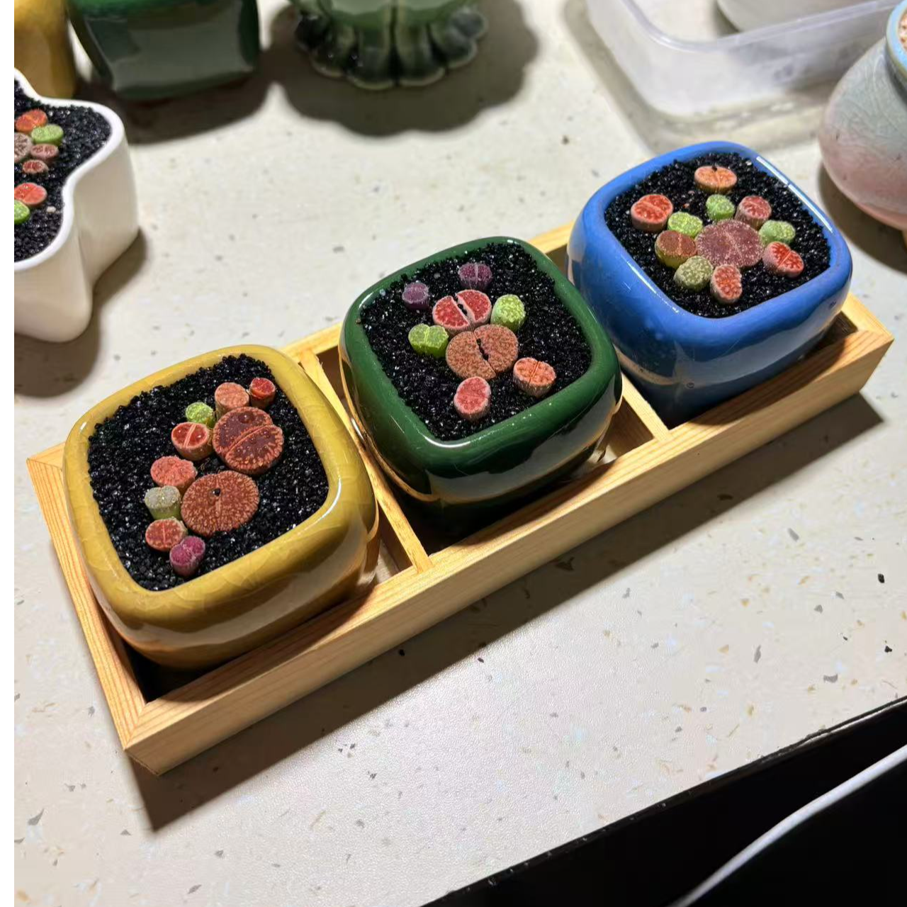 冰裂造型款种好发货