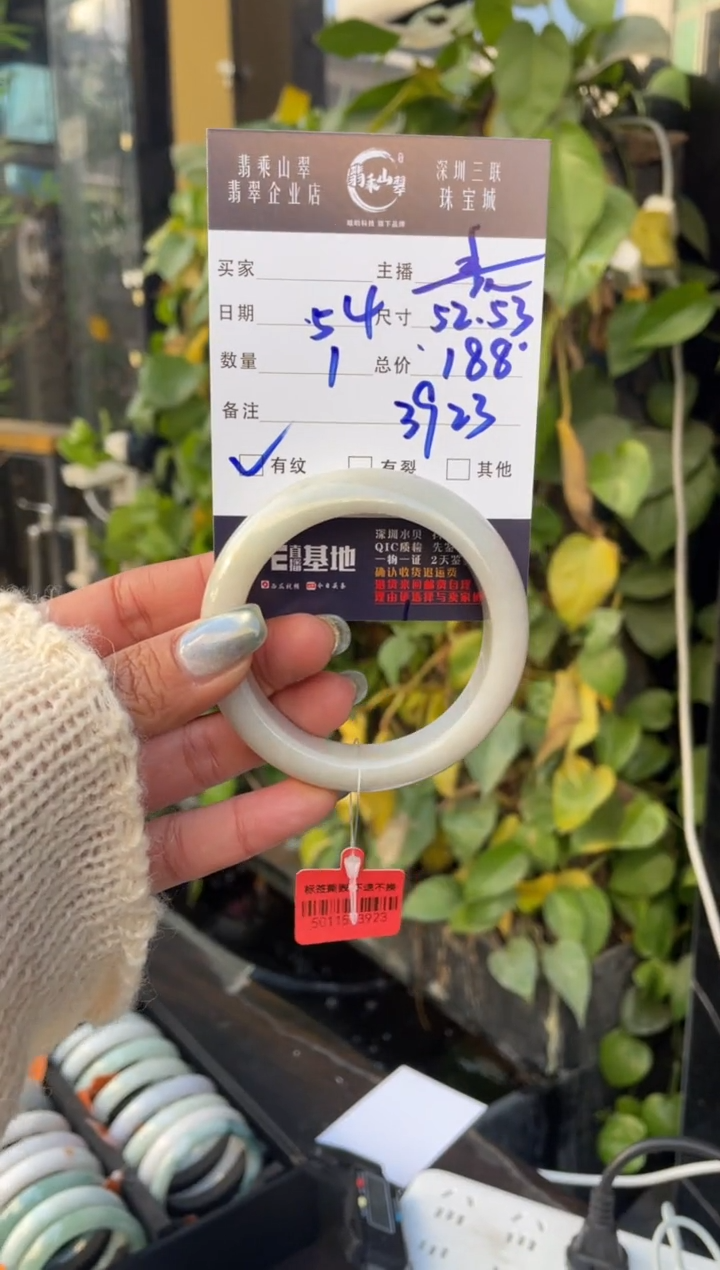 【闪购商品】翡翠手镯未镶嵌C 53+正圈-3923